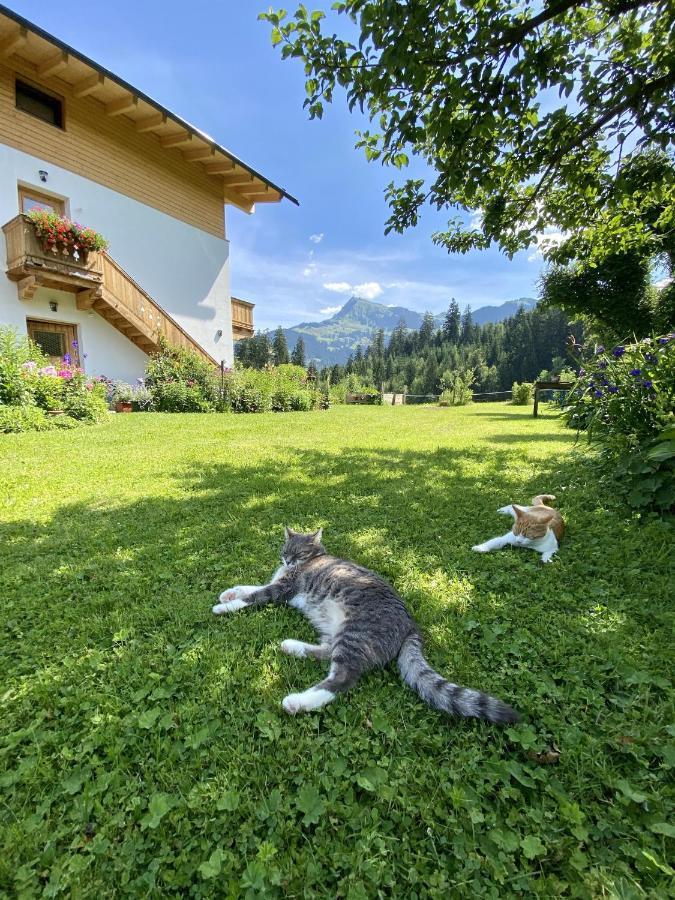Landhaus Barbara Kitzbühel Extérieur photo